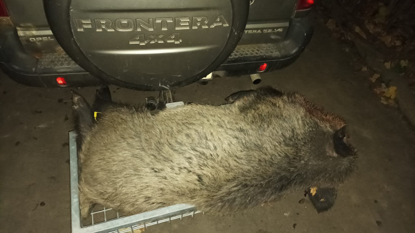 - Nosič na tažné zařízení s rychlospojkou 5
